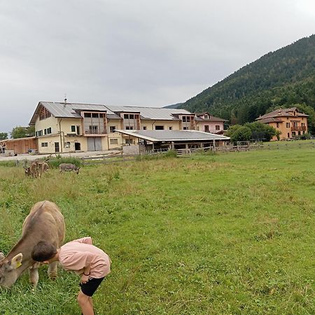 Maso Torbiera- Rural And Mountain Lodging Fiave Exterior photo