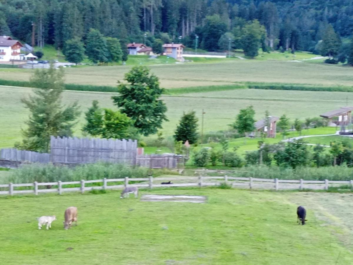 Maso Torbiera- Rural And Mountain Lodging Fiave Exterior photo